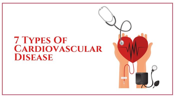 Conditions and diseases of the cardiovascular system