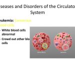 Conditions and diseases affecting the circulatory system